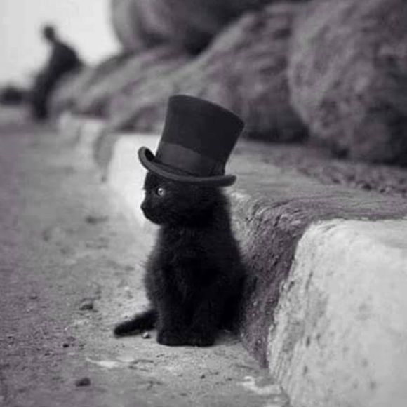 Meet your Posher, Melissa - Picture 1 of 1